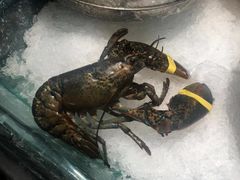 -盒马鲜生(和谐广场店)