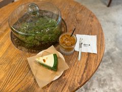 -自由生长植物工作室(深港花卉中心店)