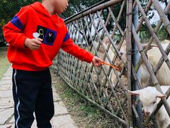-长兴太湖图影湿地文化园