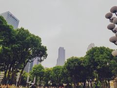 -重庆市江北嘴中央商务区中央公园