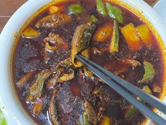 -正兴岷江春泥鳅