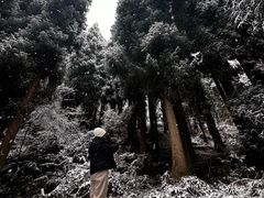 -九峰山