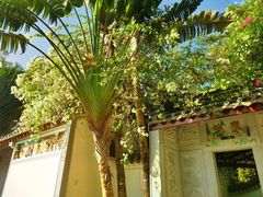 -深圳国际园林花卉博览园