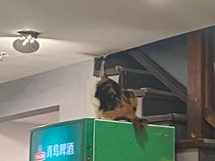 -吉友粥底火锅(方斜路店)