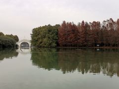 -上海海湾国家森林公园