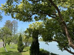 -东钱湖小普陀景区