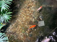 -聚缘堂·海鲜私房菜(松岭路店)