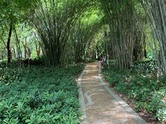 -晓港公园