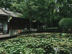 -温江公园