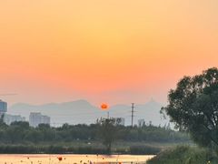 -长白岛森林公园