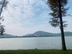 -顺峰山公园