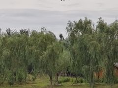 -东郊湿地公园