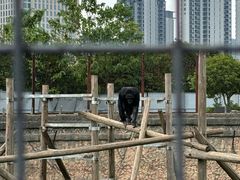 -南昌动物园