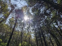 -白草畔自然风景区