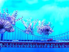 -太平洋海底世界