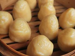 -马村鱼头