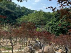 -广州市帽峰山景区