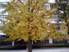 -西南民族大学南区(双流校区)