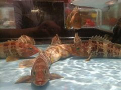 -阿伟海鲜楼·福建菜(延寿店)