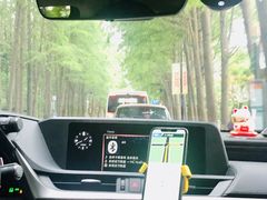 -上海崇明金茂凯悦酒店