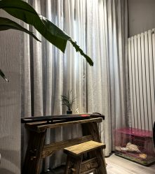 -花间禅净·瑜伽