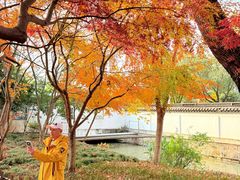 -秋霞圃
