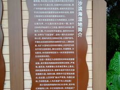 -大湾区中央湿地公园