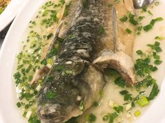 葱油飞鱼-岭南海晏楼(东晓南店)