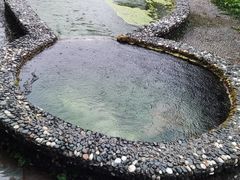 -白水台
