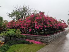 -顺峰山公园