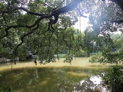 -小洲村