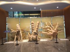 -香市公园-中国沉香文化博物馆