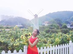 -玫瑰海岸文化旅游度假区