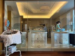 -和伊母婴护理中心·全套房(金山店)