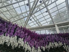 -石家庄市植物园