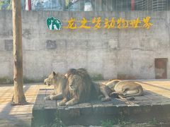 -太湖龙之梦