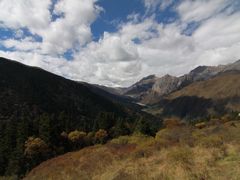 -黄龙山原始森林景区