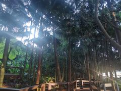 -布里斯班南岸公园