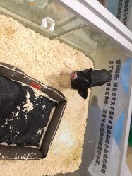 -meland亲子乐园·派对·研学·拼豆(苏州悠方购物中心店)