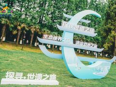 -东台黄海森林公园