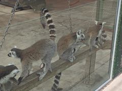 -水上乐园·欢乐世界