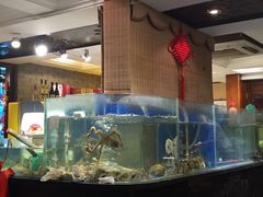 水产区-北塘老院酒馆(鸿泰·千佰汇商业广场店)