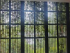 -山水一号·中餐厅