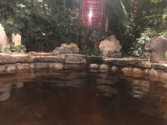 -中家鑫园温泉酒店鑫悦汤泉