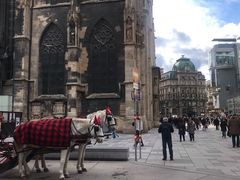 -斯蒂芬主教座堂(Stephansdom)