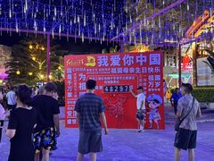 -三亚红色娘子军演艺公园景区
