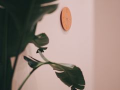 -echoes coffee回响咖啡(红山店)