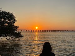 -宝安西湾红树林湿地公园