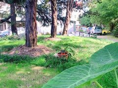 -上海安亭别墅花园酒店