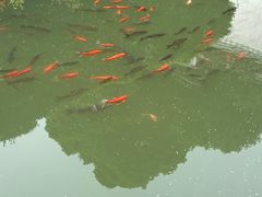 -宁波市保国寺古建筑博物馆